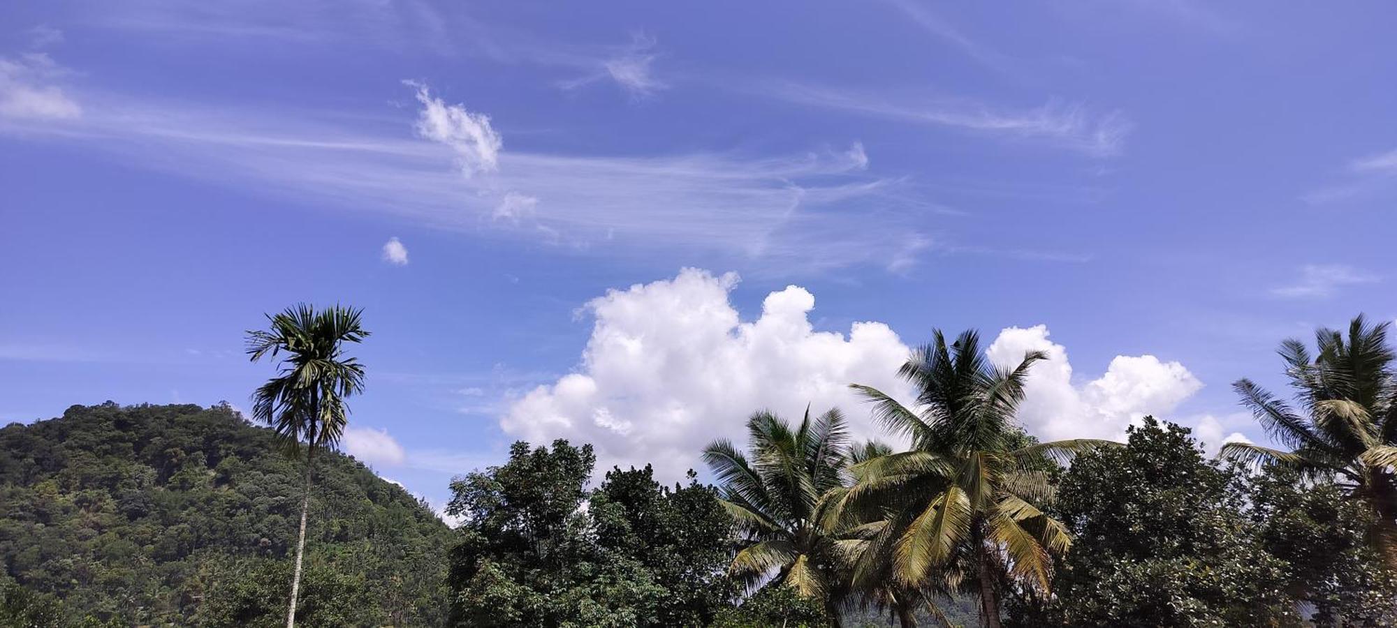 Himadri Munnar Holidays Exterior photo