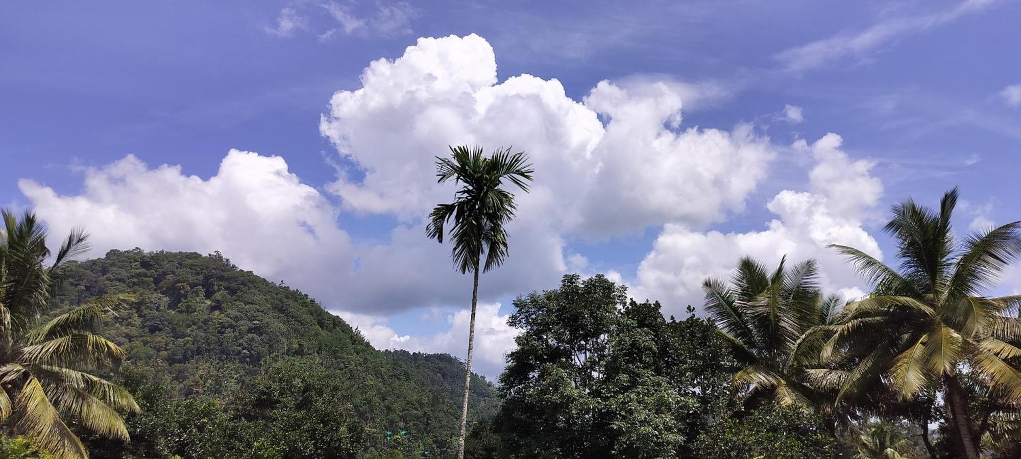 Himadri Munnar Holidays Exterior photo