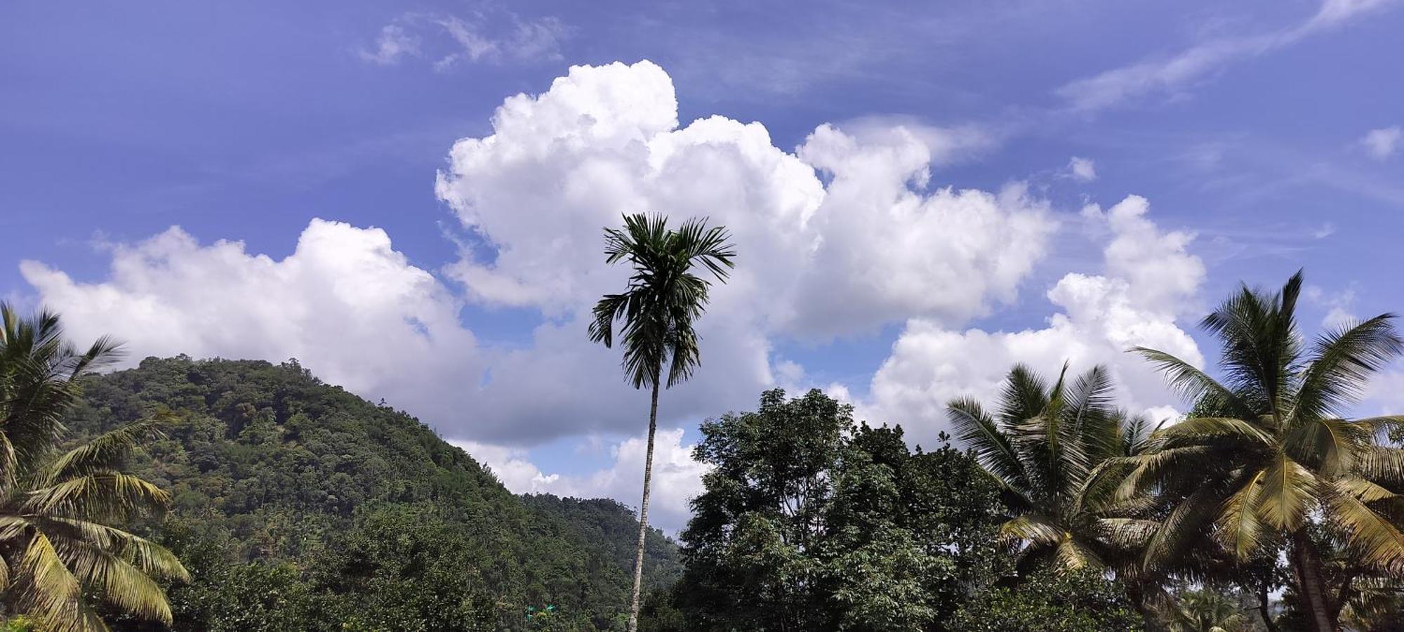 Himadri Munnar Holidays Exterior photo
